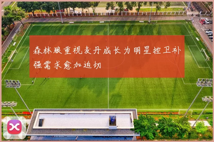森林狼重视麦丹成长为明星控卫补强需求愈加迫切