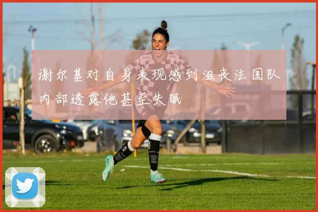谢尔基对自身表现感到沮丧法国队内部透露他甚至失眠