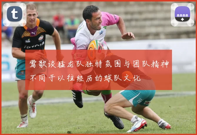 莺歌谈猛龙队独特氛围与团队精神不同于以往经历的球队文化
